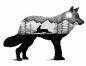 Preview: Diamond Painting Schattenspiel Wolf eckig 30x40cm (auch der weisse Hintergrund sind Steine)